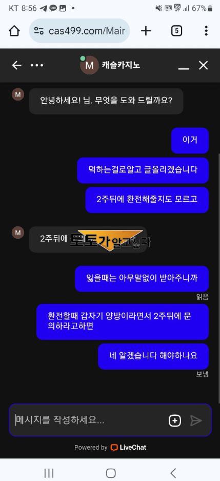 캐슬카지노3.png