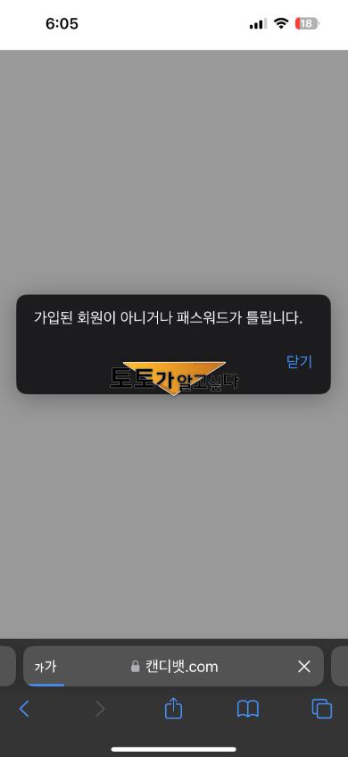 캔디벳2.png