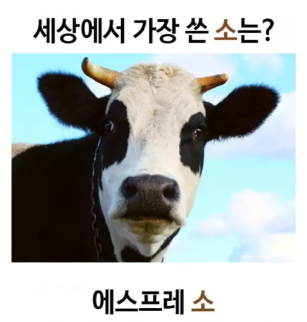 세상에서 가장 쓴소ㅋㅋㅋ_식후가시죠.jpg