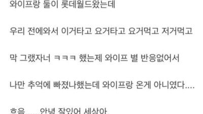 롯데월드에서 사망한 사연