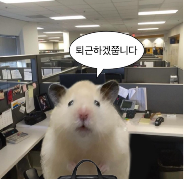 저 먼저.png